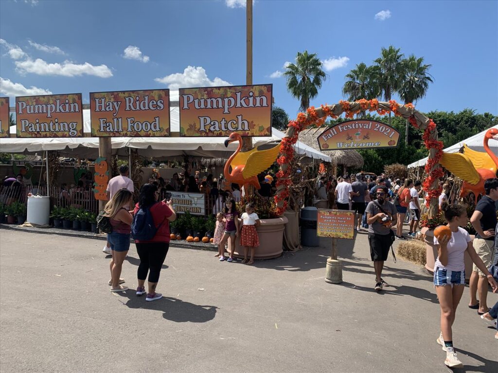 The ultimate guide to fall activities in fort lauderdale this 2025 6 Fall activities