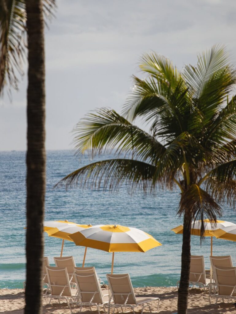 Exclusive: your luxury guide to four seasons fort lauderdale 4 Swap snow for sand… well handle the details so you can handle the florida sunshine. Your beach